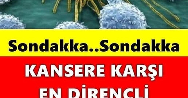 En Dayanıklı Kan Gurubu