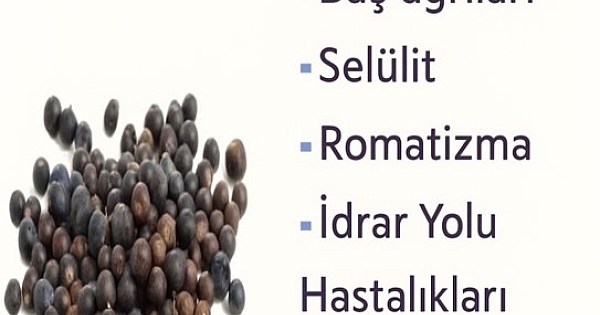 Kanı temizler,iltihabı söker