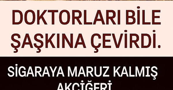 Akciğerlerde İnanılmaz Yenilenme! 