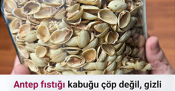 Antep Fıstığı Kabuklarının Gizli Gücü 