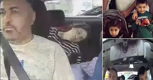 Böcek ailesinin son anları 