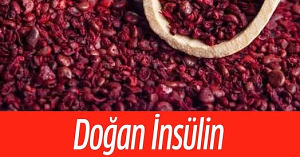 Doğal insülin bulundu! 