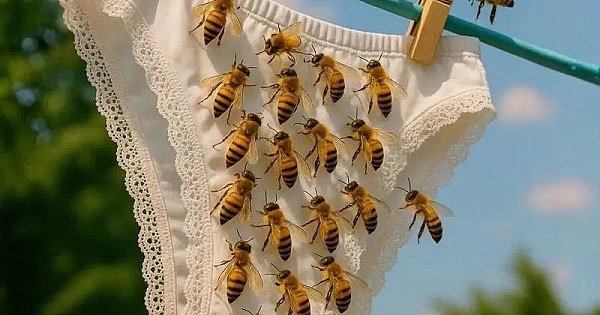 Eğer çamaşırınızda fark ederseniz