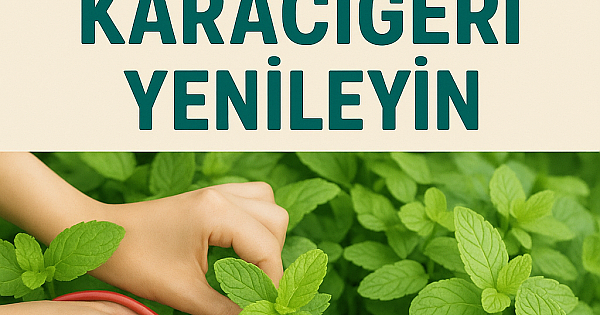  Göbeği Dümdüz Yapan ve Karaciğeri Yenileyen Besin 