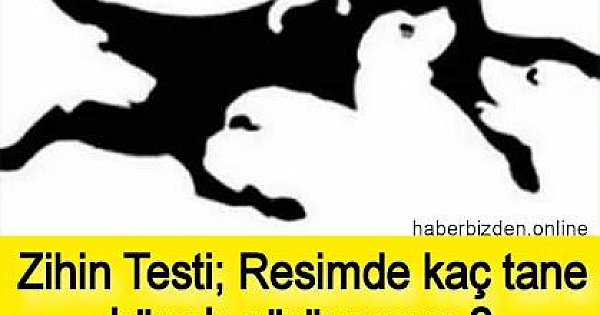 Kaç Köpek Görüyorsunuz? 