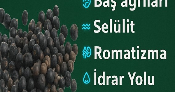 Kandaki z.hirli maddeleri atar