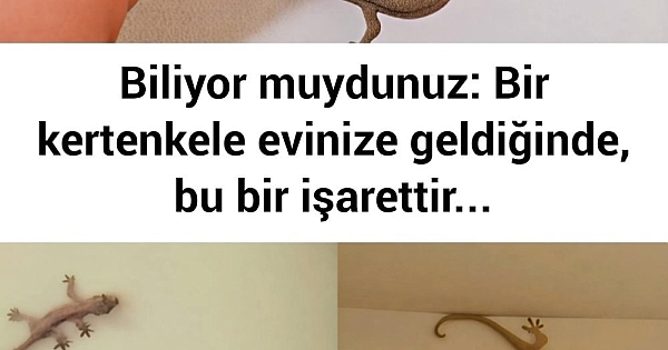 Meğer bu yüzden eve geliyormuş 
