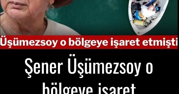 Şener Üşümezsoy o bölgeye işaret etti