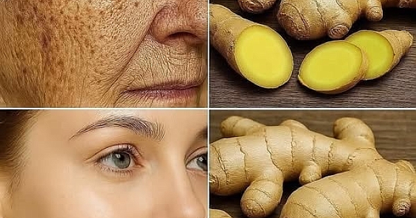 Zencefil uygulaması 