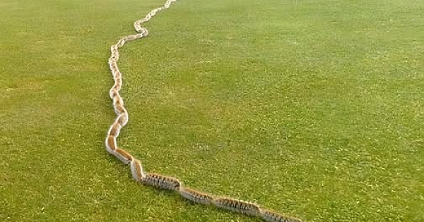 çok garip bir şey fark ettim 