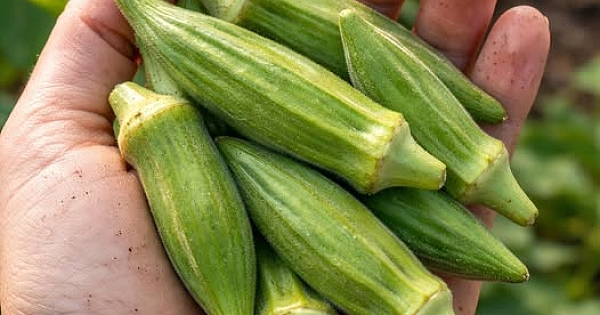 Doktorlar  bamya yemenin neden olduğunu ortaya çıkardı.. 