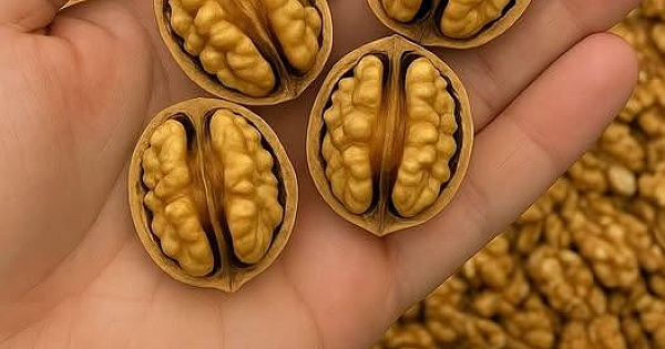 Doktorlar ceviz yemenin neden olduğunu açıkladı 