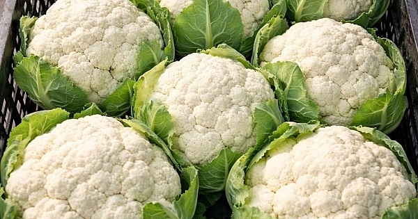 Doktorlar karnıbahar yemenin neden olduğunu söyledi