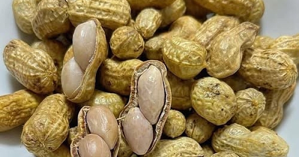 Doktorlar Yer Fıstığı Yemenin sonucu 