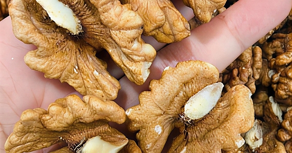 Her Gün Ceviz Yediğinizde Ne Olur 