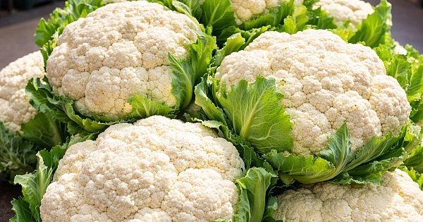 Karnıbahar yemek neden oluyor