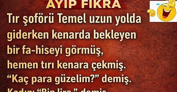 Tır Şoförü Temel 