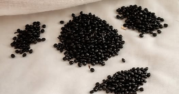 Bunu yatağımın altında buldum 