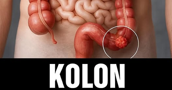 Erken Fark Edenler İçin Kritik Detaylar 