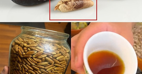 Hurma Çekirdeklerini Atmayın 