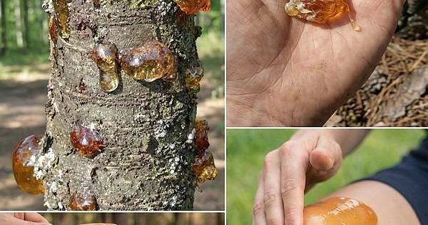 En İyi Doğal Çözüm 