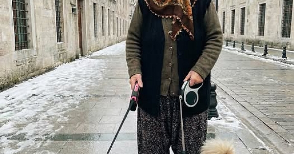 Komşum kurtardığım köpeklerime “iğrenç” dedi