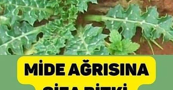 Mide ağrısının tedavisine yardımcı