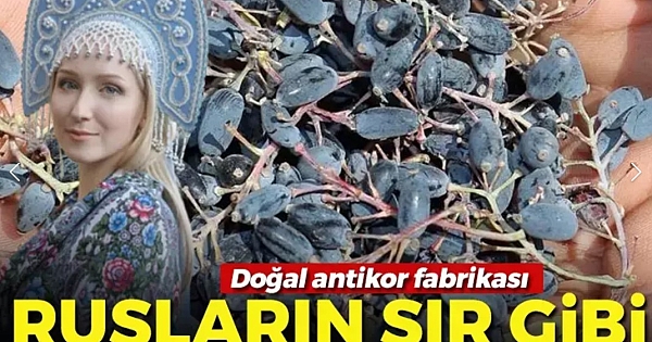 Doğal antikor fabrikası 