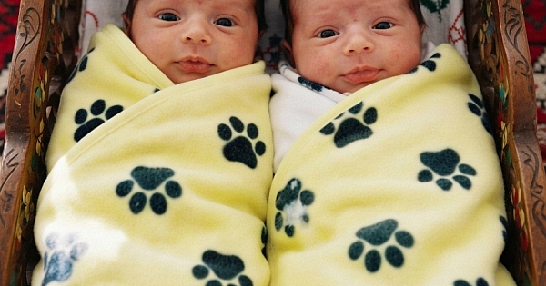 Genç baba ve ikizler