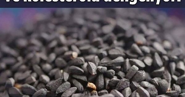 Kolesterolü dengeliyor! 