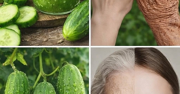 Yaşlanma Karşıtı Formül 