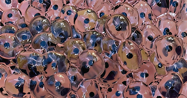 Bir çiftçinin tarlasında 