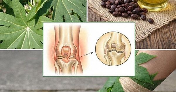 Bitkisinin Yapraklarının ve Tohumunun Bazı Faydaları 