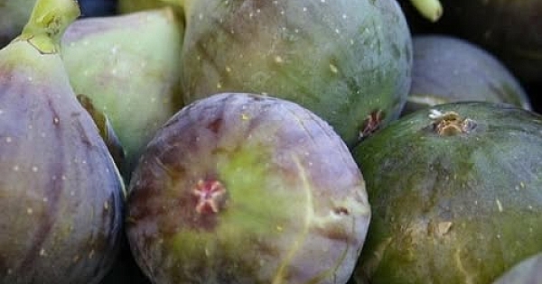 Doktorlar açıkladı 