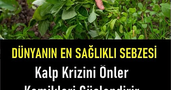 En sağlıklı sebze hangisi 