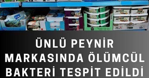 Hepimize peynir diye yediriyorlar