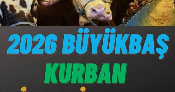 Kurban fiyatları belirlendi 