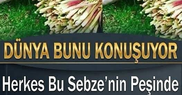 Türkiye de üretilmeye başladı 