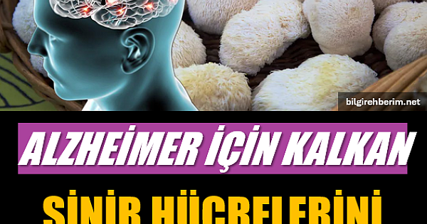 ALZHEİMER VE DEMANS KALKANI