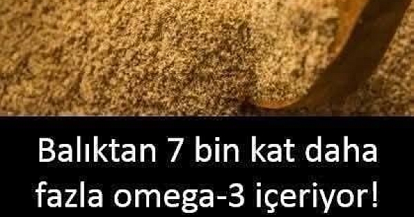 Balıktan 7 bin kat daha fazla omega3 içeriyor 