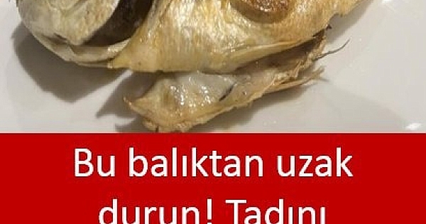 Bu Balıktan Uzak Durun 