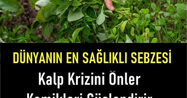 En sağlıklı sebze hangisidir