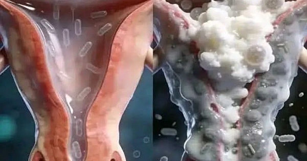 Erkek Davranışlarının Bir Kadının Mahremine Etkileri 