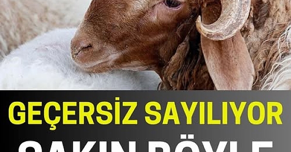 Kurbanı Sakın Böyle Kesmeyin 