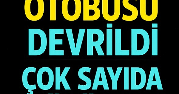Yolcu otobüsü şarampole devrildi