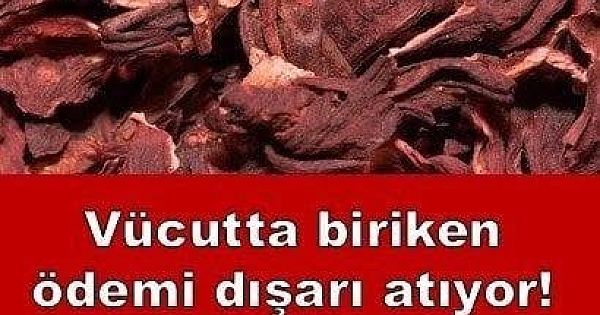 Böbrekleri yeniden doğmuş 