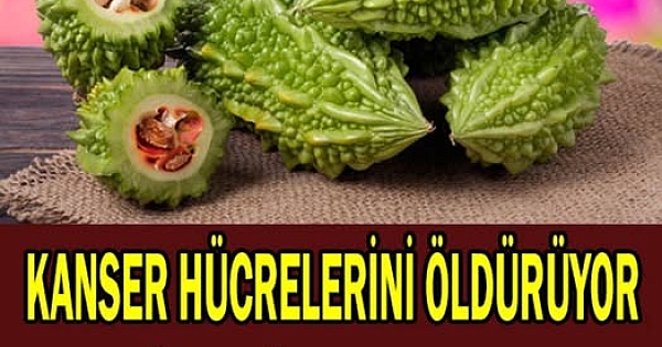 Kanser Hücrelerini Öldürüyor 