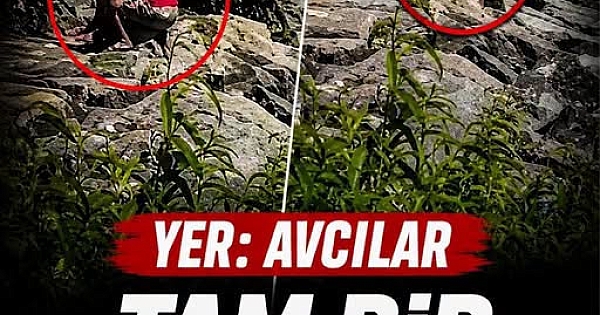 Yer Avcılar Rezalet 