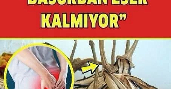 Basura Veda Edin 