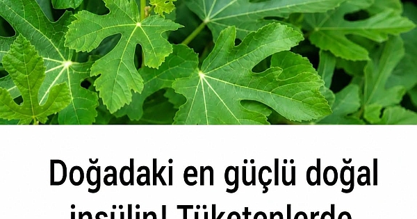 Doğadaki en güçlü doğal insülin 